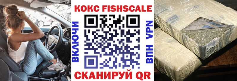 Кокаин Fish Scale  Купить закладки  Великие Луки 