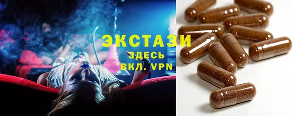 индика Заводоуковск