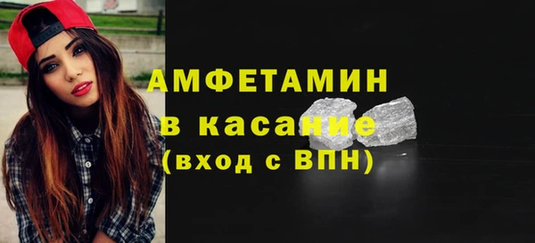индика Заводоуковск
