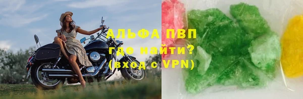 индика Заводоуковск