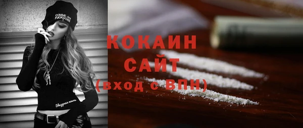 индика Заводоуковск