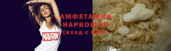 индика Заводоуковск