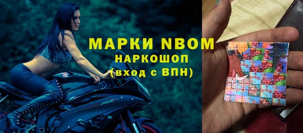 индика Заводоуковск