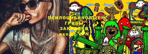 индика Заводоуковск