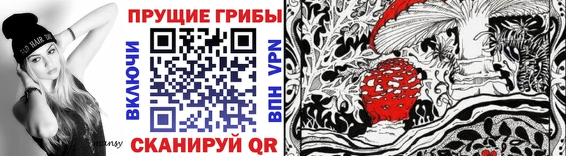 Купить где Великие Луки Галлюциногенные грибы Cubensis